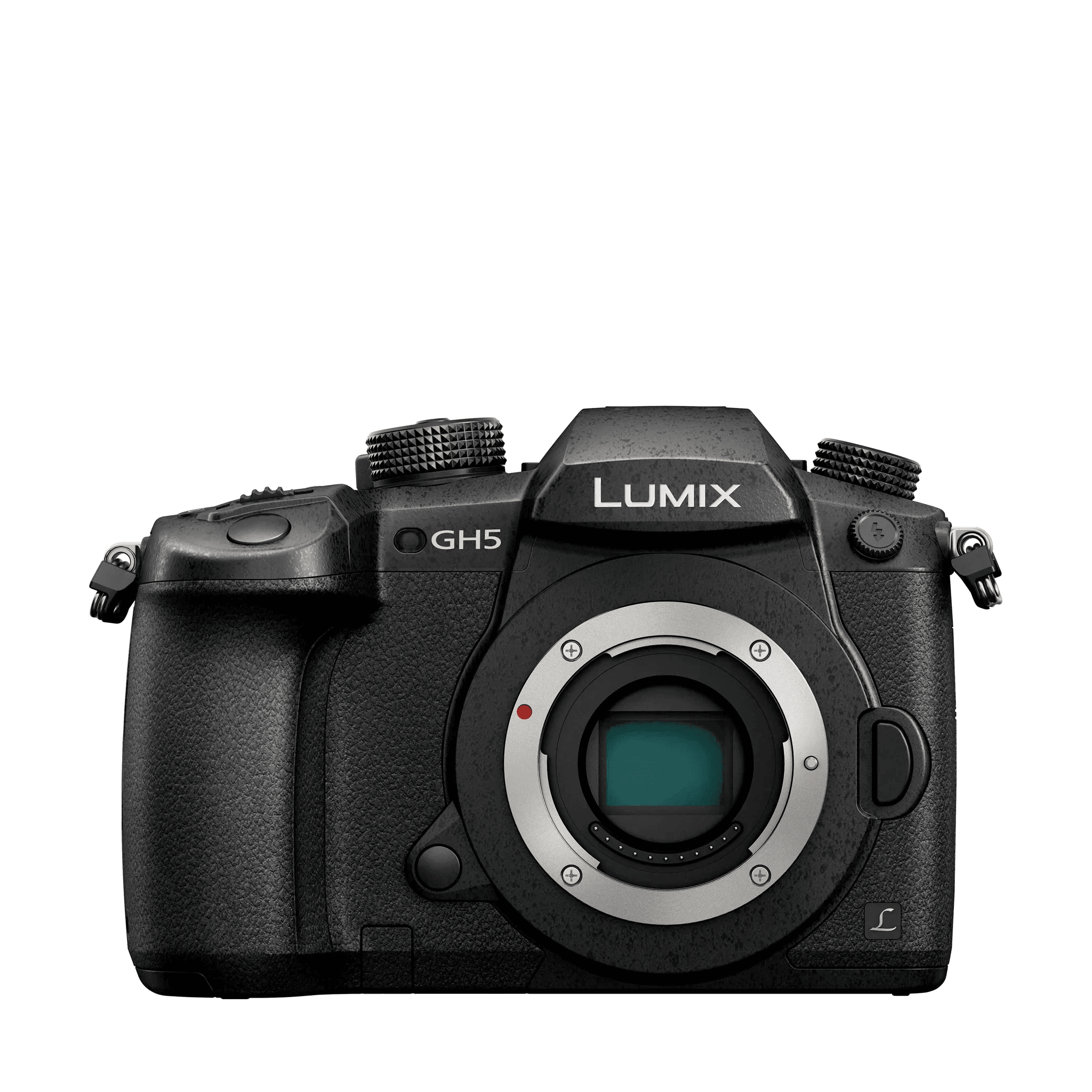 GH5 Mirrorless Camera Body - Black in Black