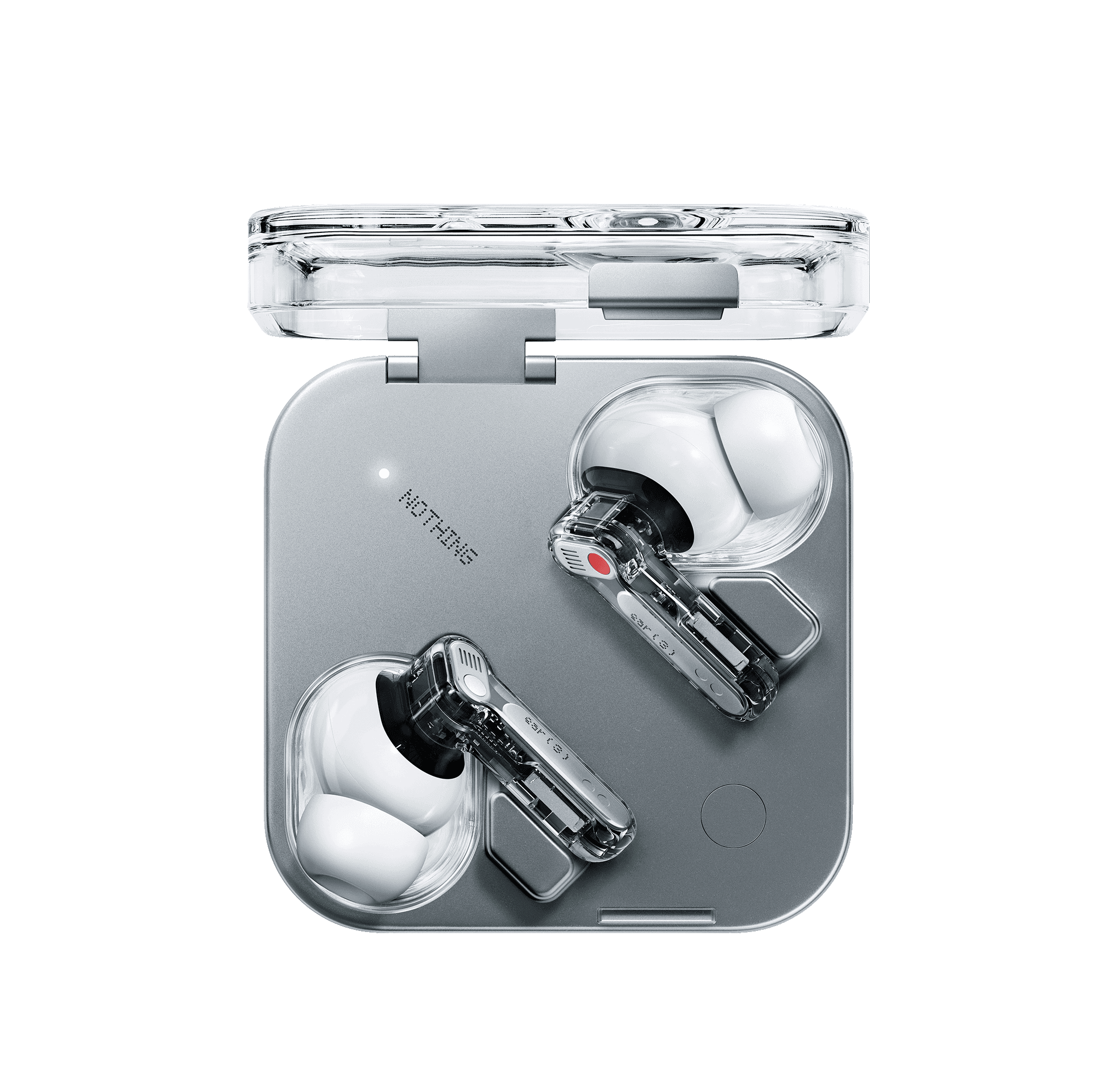 Ear (3) - White in White